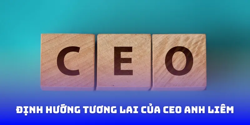 Định hướng tương lai của CEO Anh Liêm