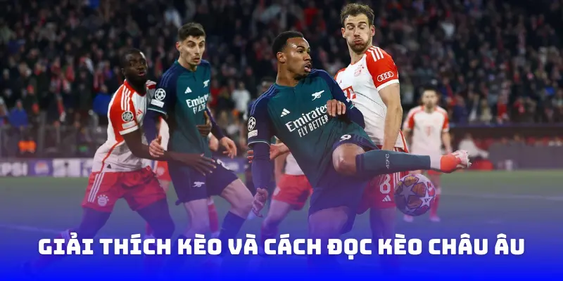 Giải thích kèo và cách đọc kèo Châu Âu