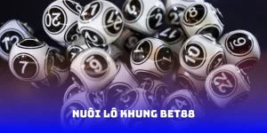 Nuôi lô khung