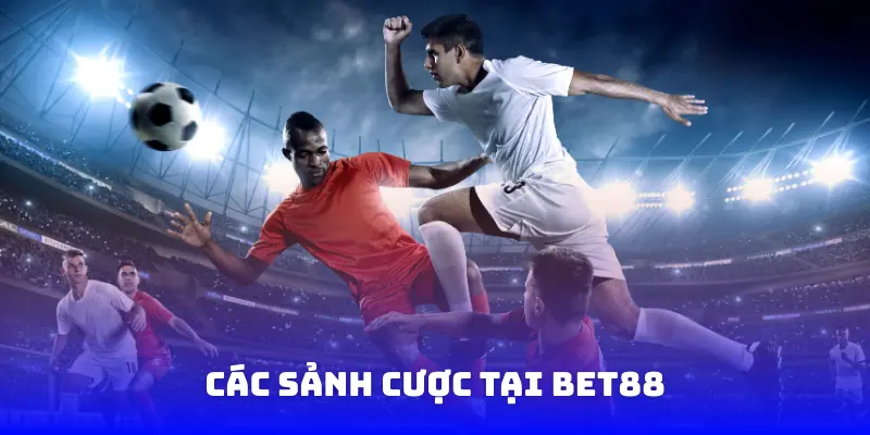 Các sảnh cược tại Bet88